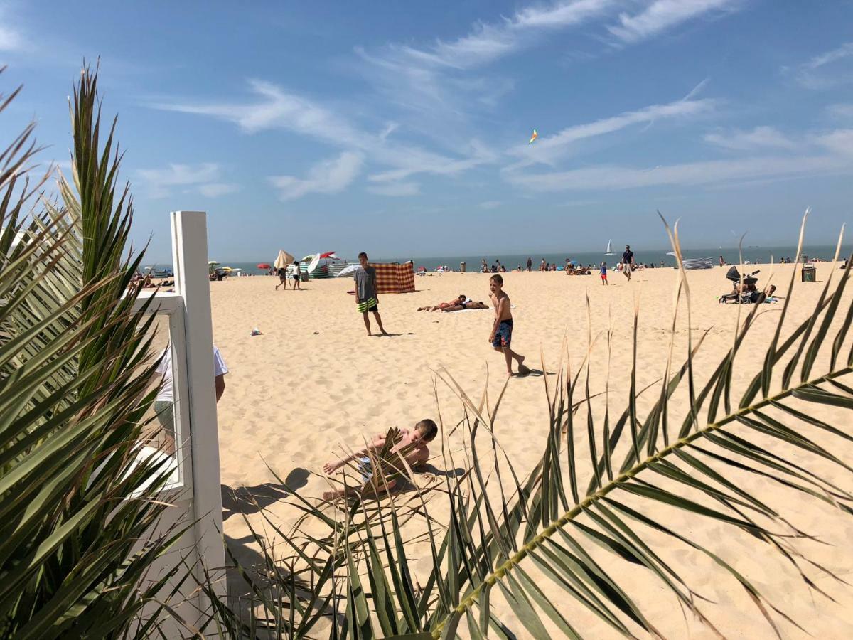 Panoramic View On Beach, Ships, Sea - Place To Be Oostende Exteriör bild